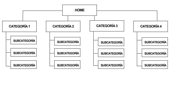estructura de contenidos