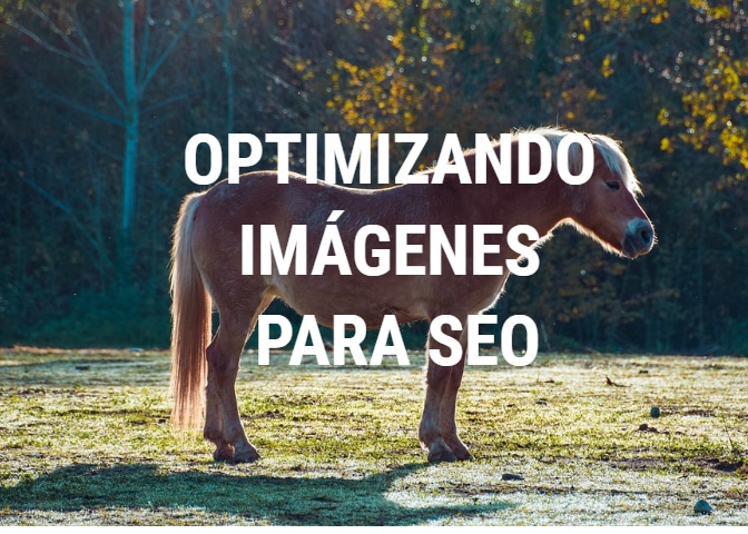 Optimizando Imágenes para SEO: 2020